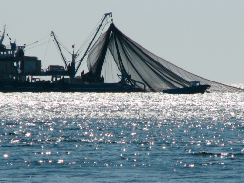 Des solutions innovantes pour surveiller et lutter contre la pêche illégale