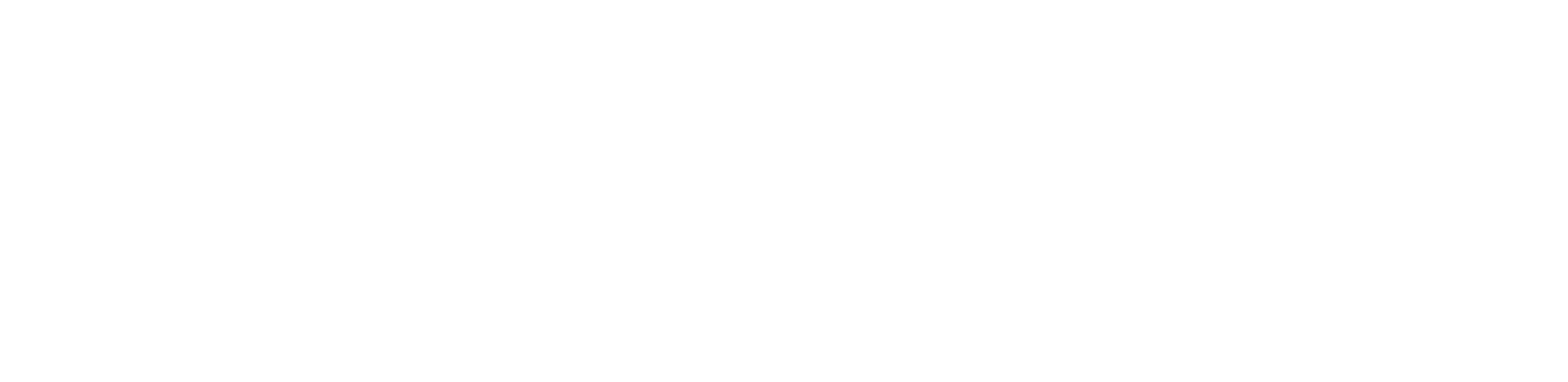SpaceFounders Logo