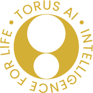 TORUS ACTIONS