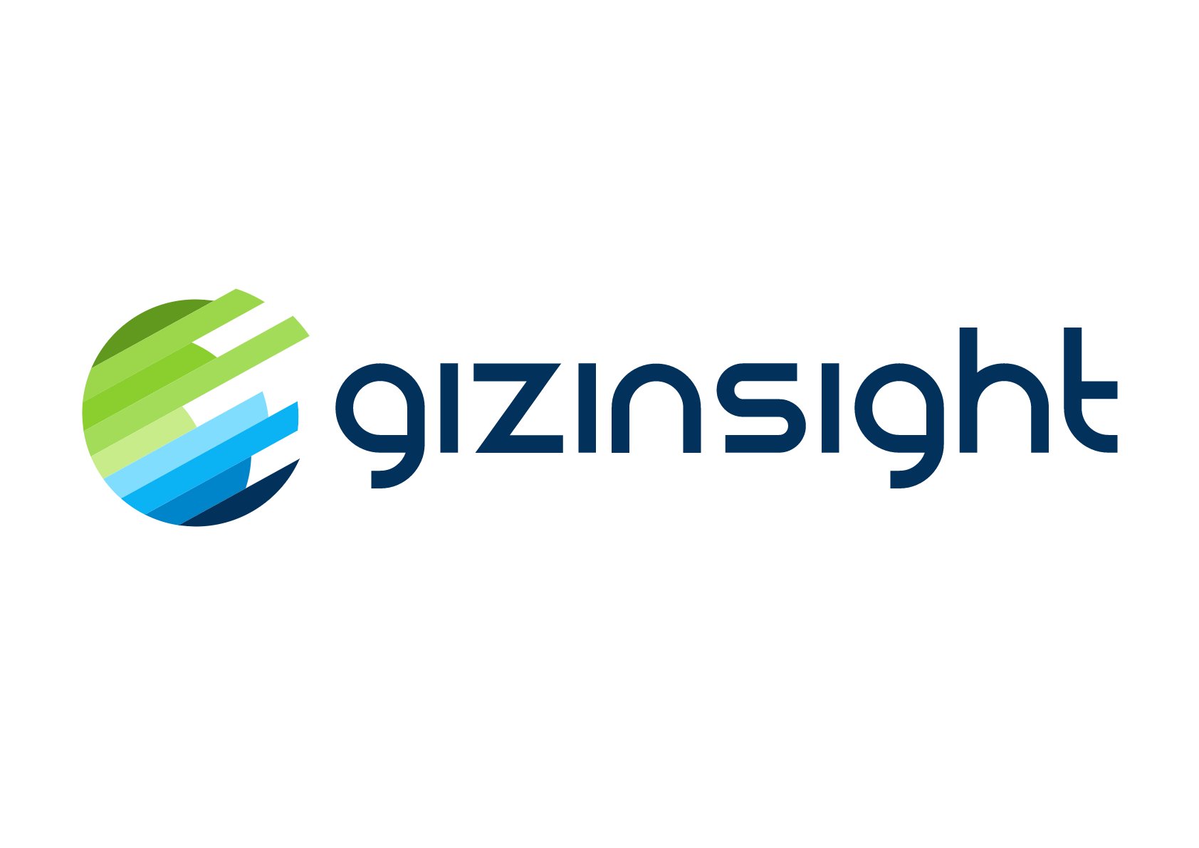 Gizinsight