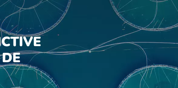 Des solutions innovantes pour surveiller anticiper et gérer la qualité de l'eau en aquaculture BiOceanOr