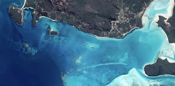 Journée mondiale environnement