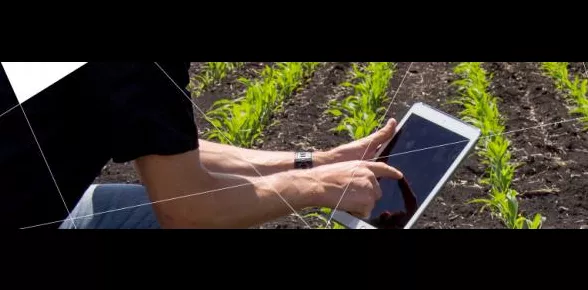 Grand Prix Innovation Agrolandes