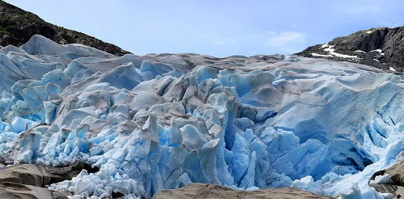 Call for projects climate and biodiversity