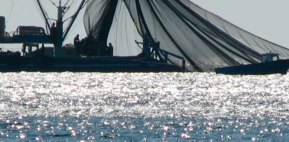 Des solutions innovantes pour surveiller et lutter contre la pêche illégale