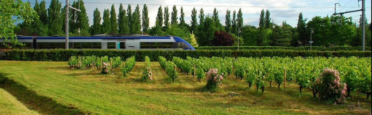 Rail / SNCF