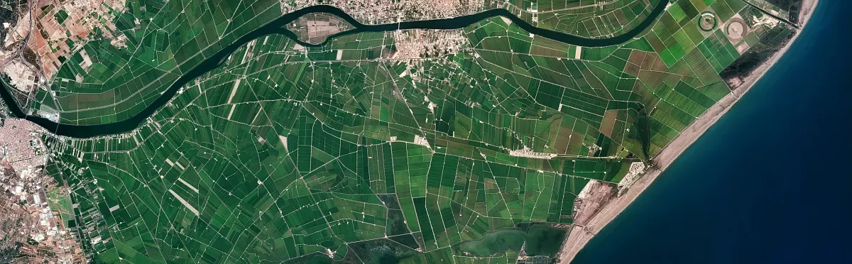 Comité des nouveaux entrants