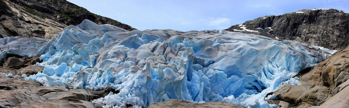 [Appel à projets] Climat et biodiversité