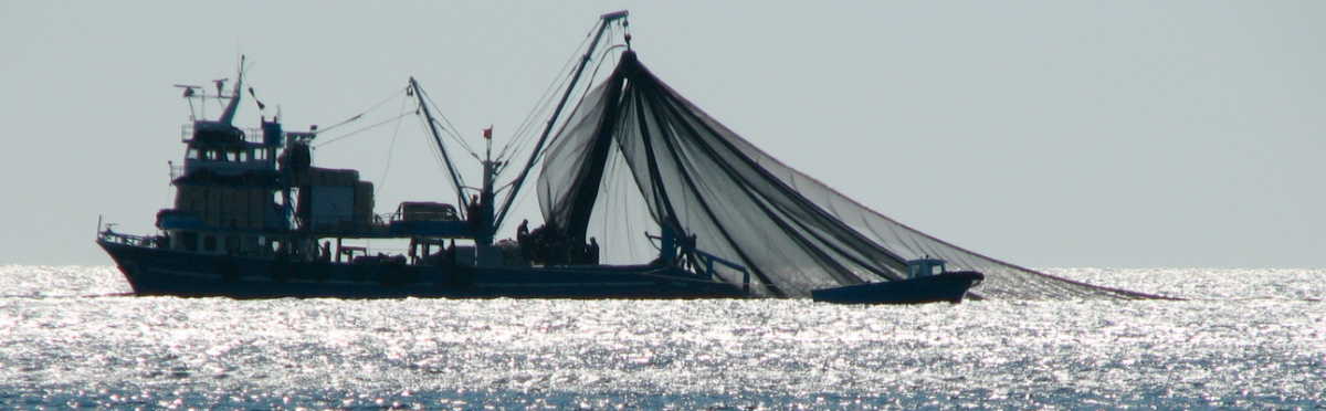 Des solutions innovantes pour surveiller et lutter contre la pêche illégale