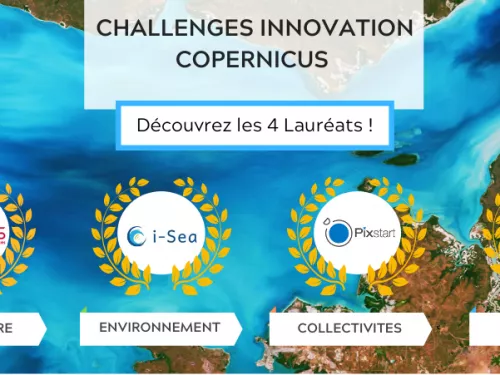 Copernicus Challenges Winners