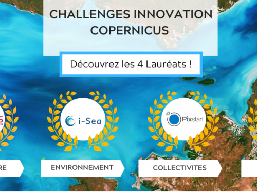 Copernicus Challenges Winners