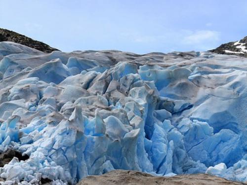 [Appel à projets] Climat et biodiversité