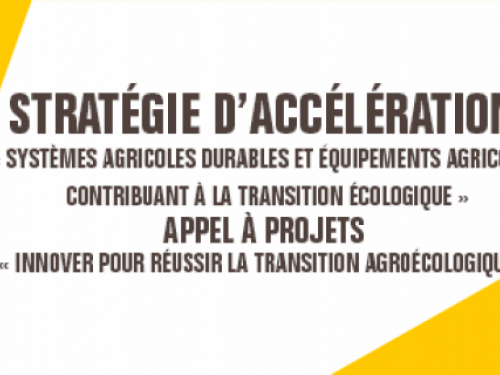 Innover pour réussir la transition agroécologique